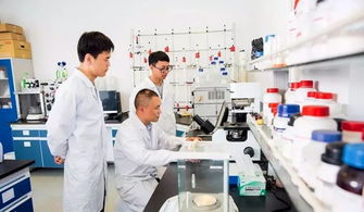 中國制造業第一縣聚力互聯網銷售轉型，新華日報頭版頭條聚焦產業升級新篇章